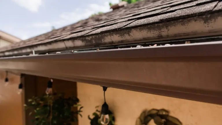 A dark gutter running along the shingle roof edge over a porch, seen from below