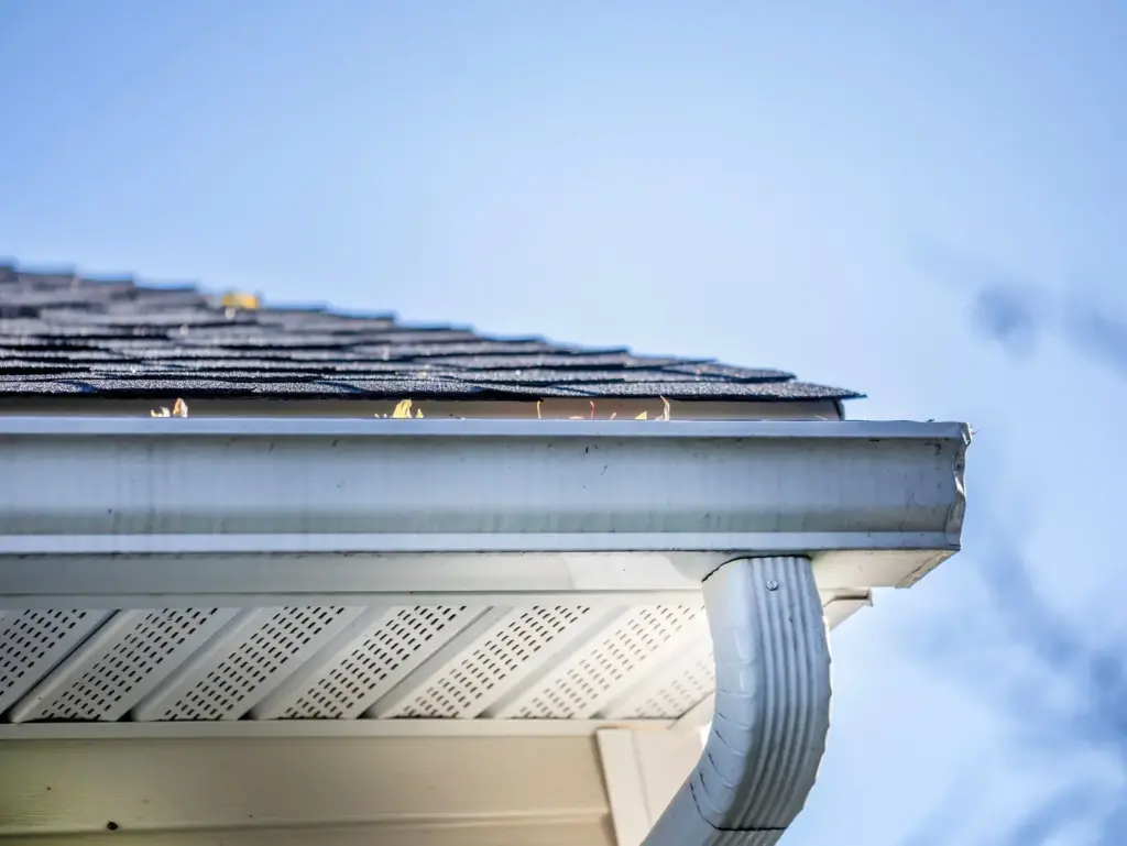 A seamless metal gutter and downspout under a shingle roof edge, seen from below